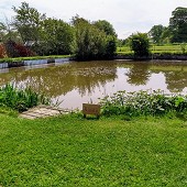 Coarse fishing lake